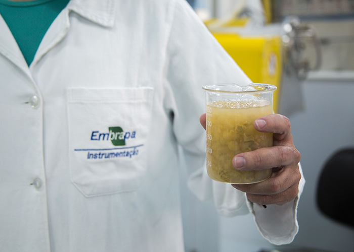 Novo fertilizante reúne água e nutrientes com liberação gradativa na lavoura