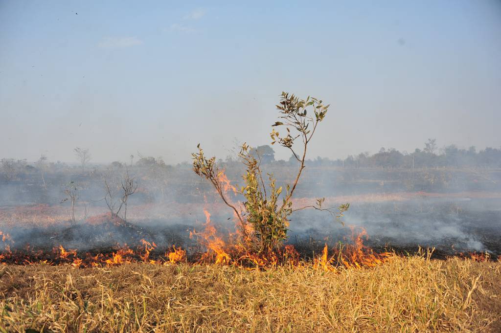 Queimadas na região do Pantanal sobem 40% neste ano em comparação a 2019