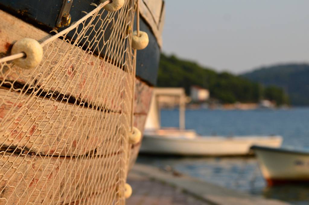 Sistema de Cadastro e Recadastro Nacional dos Pescadores Profissionais passa por adequações