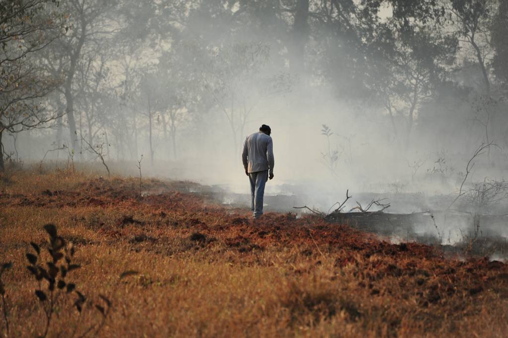 Pantanal supera Amazônia em focos de incêndio