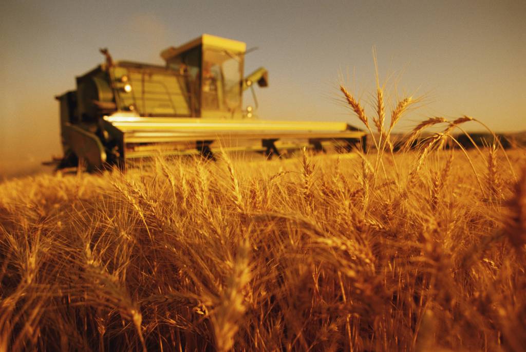 Prazos para pagamento de dívidas de produtores rurais é prorrogado