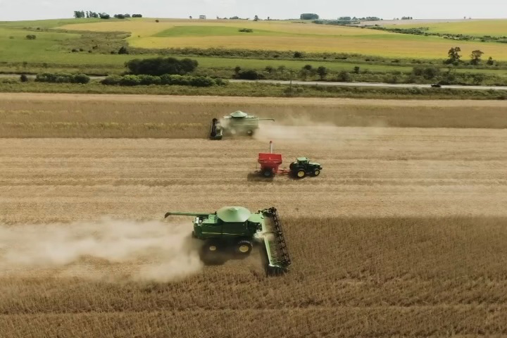Recursos do Crédito Rural estão disponíveis para safrinha em MS