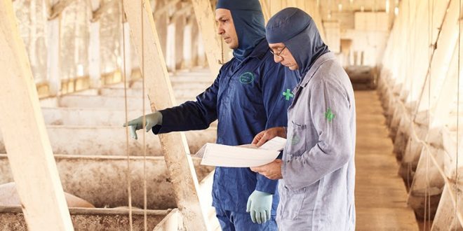 Auditores Fiscais Federais Agropecuários atuam em meio a pandemia para garantir abastecimento de alimentos