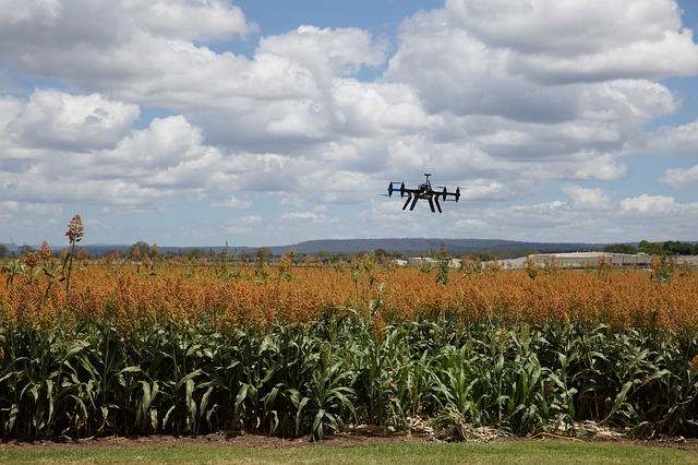 Pesquisadores afirmam que ciência e tecnologia no agronegócio contribuem para avanço no mercado internacional