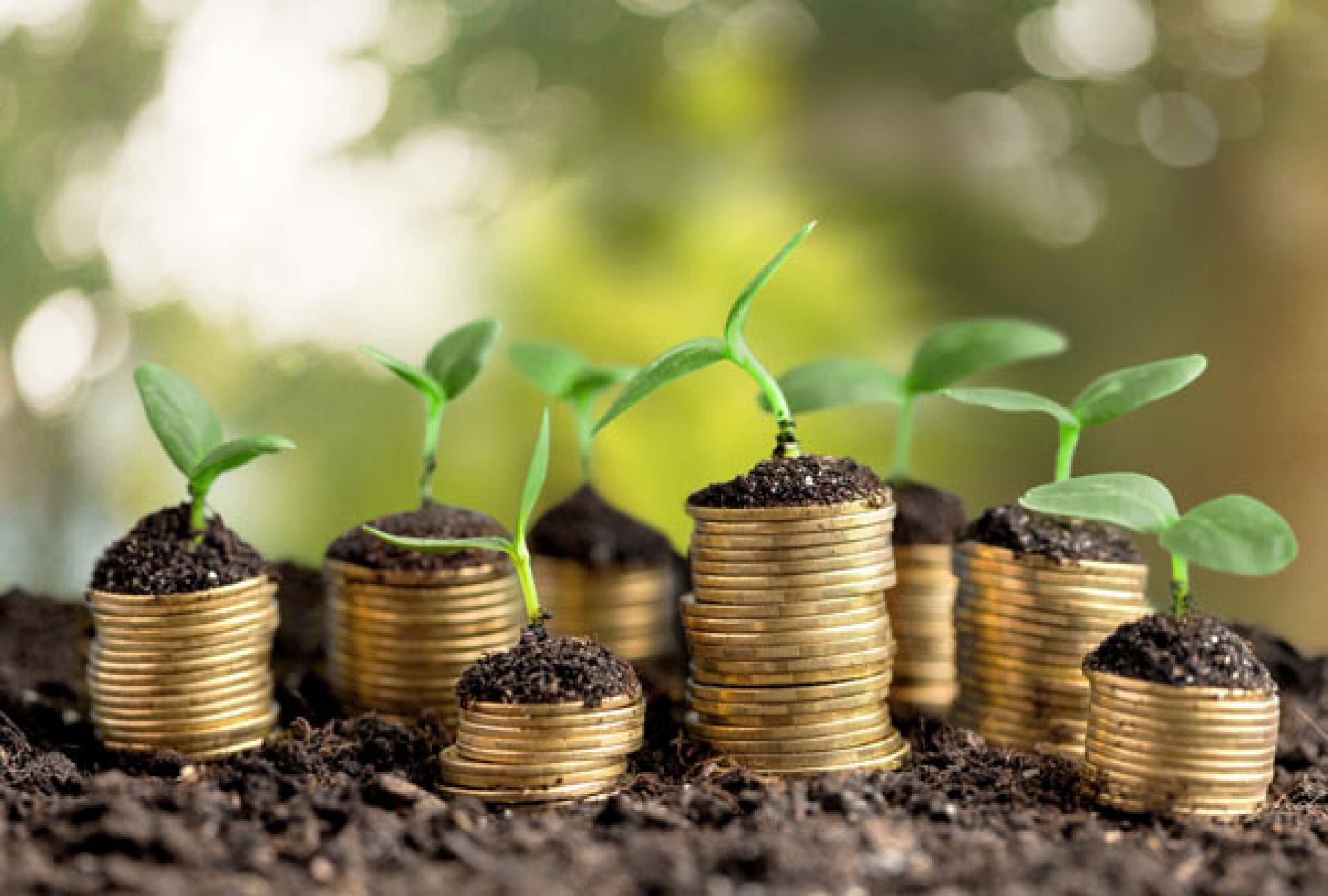 Beneficiários do Proagro poderão fazer comunicação de perdas remotamente