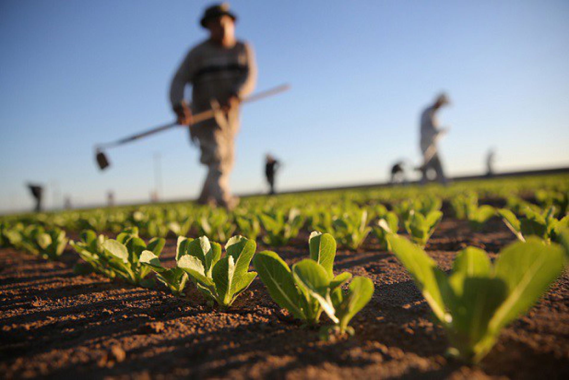 Publicada relação de cidades em que agricultores receberão Garantia-Safra neste mês