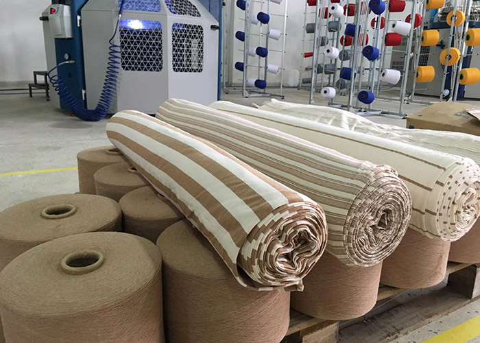 Algodão colorido produzido pela Embrapa pode ser usado na fabricação de jeans com menos volume de água