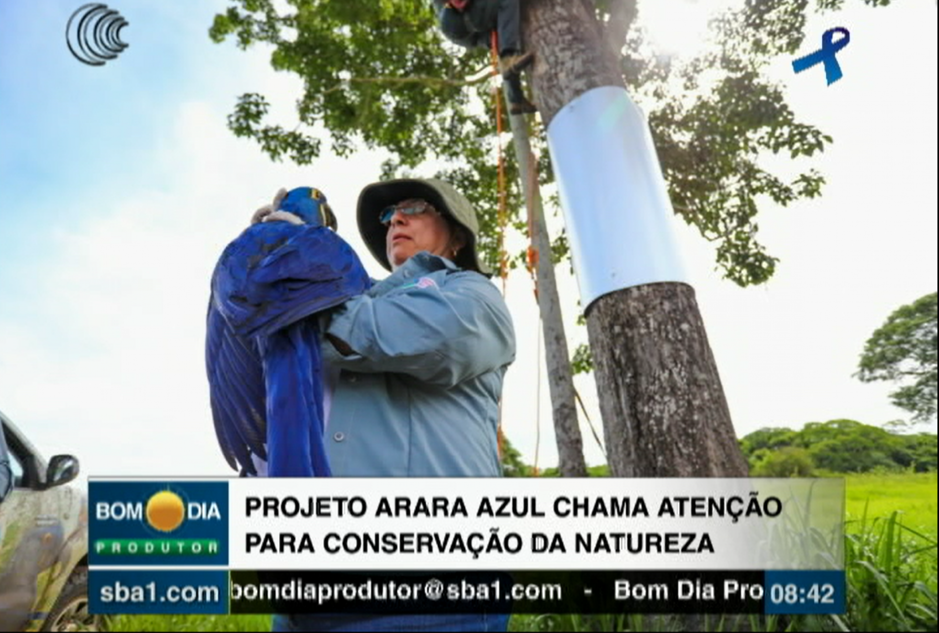 Projeto Arara Azul chama atenção para a preservação da natureza no Pantanal