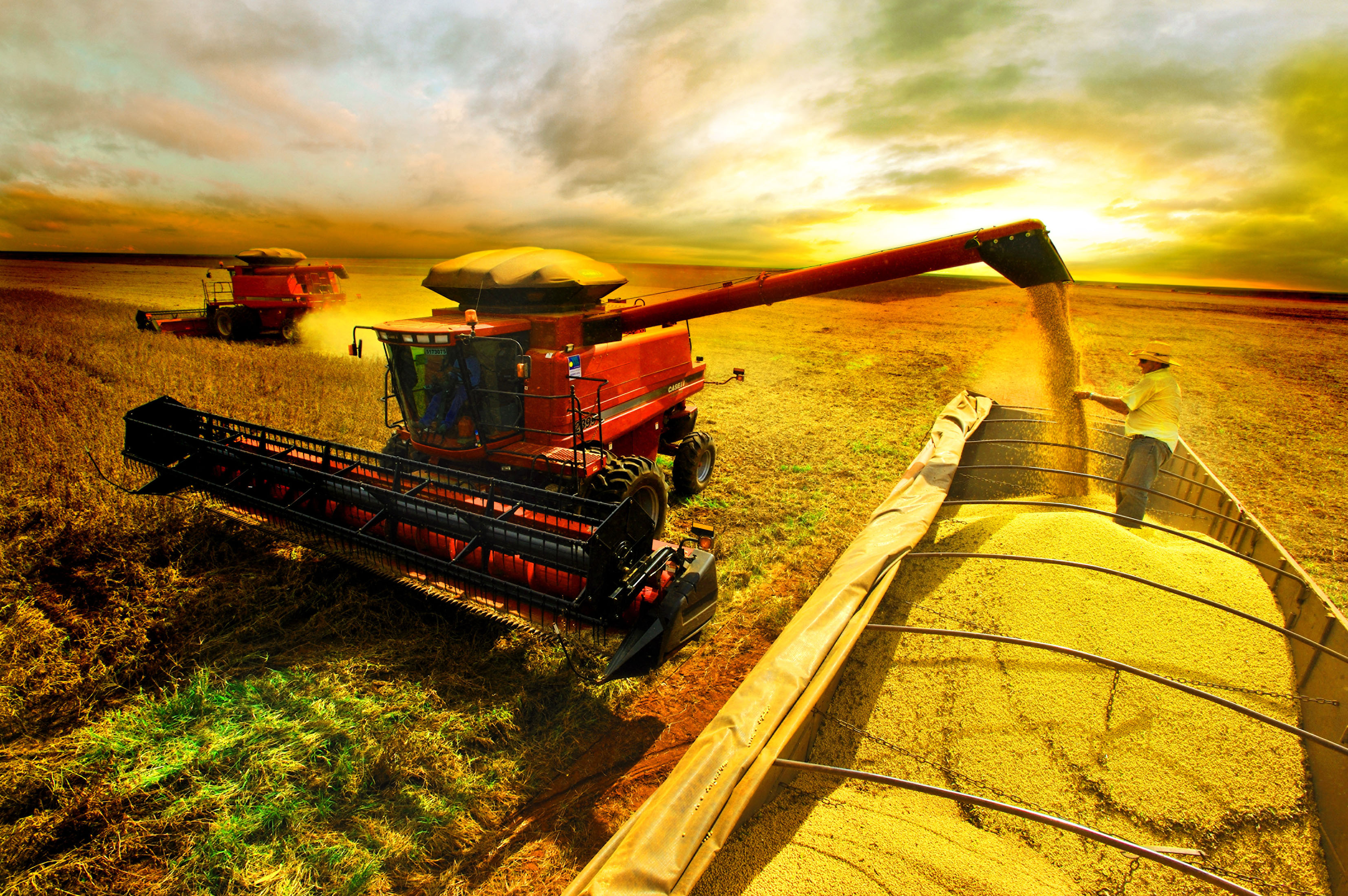 Medida provisória do agro disponibiliza alocação de R$ 5 bilhões de complemento no crédito rural