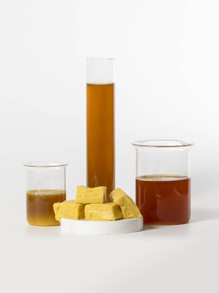 Sebo bovino é a segunda matéria-prima mais utilizada na produção de biodiesel