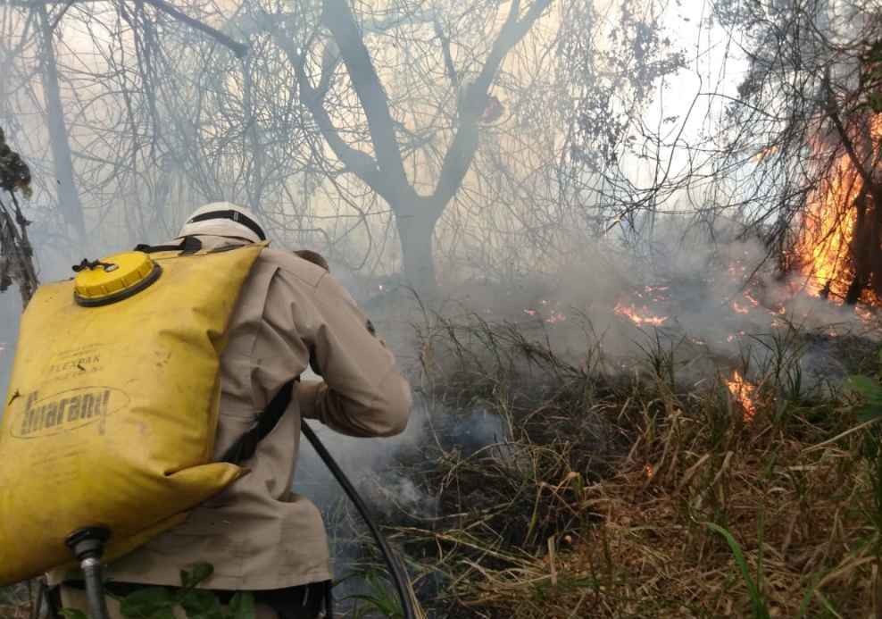 Pantanal brasileiro arde com focos de incêndios