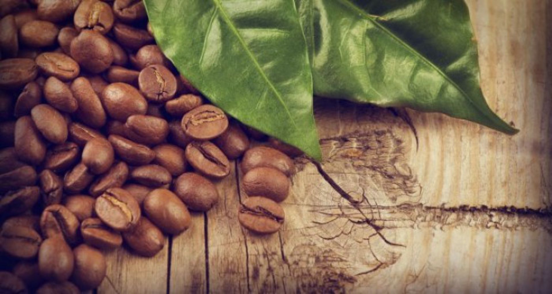 Em 15 dias úteis embarques de café totalizam 1,44 mi/sacas 