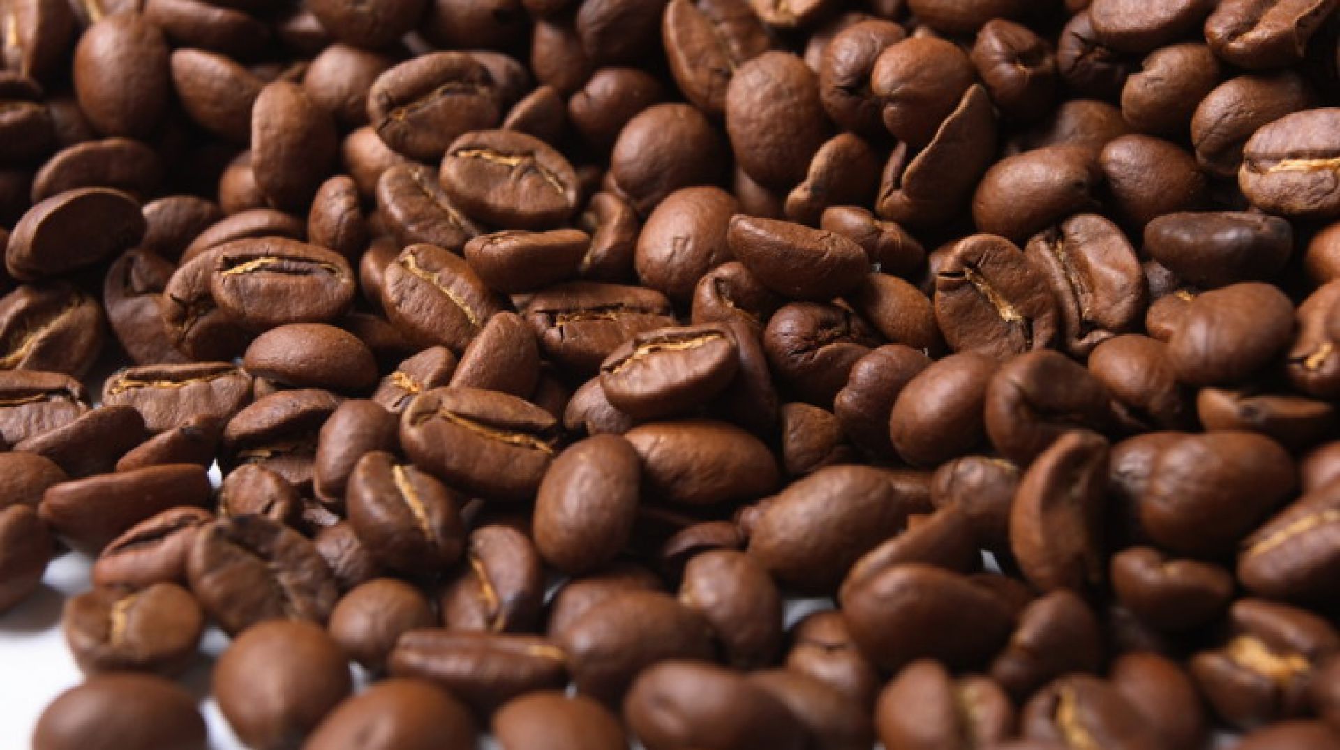 Peru pode exportar 4,1 milhões de sacas de café na safra 2018/19 