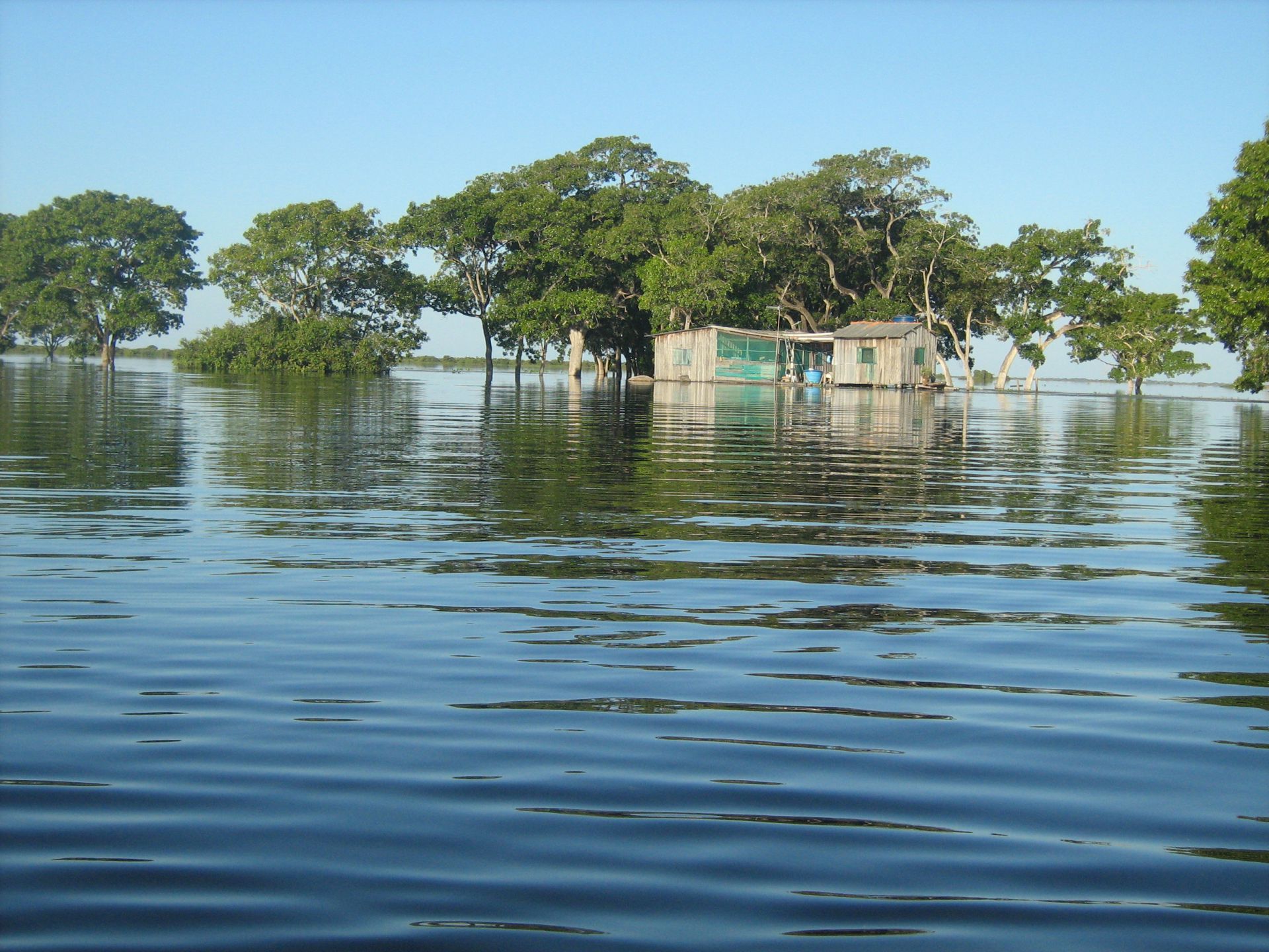 Chuvas antecipam cheias no Pantanal