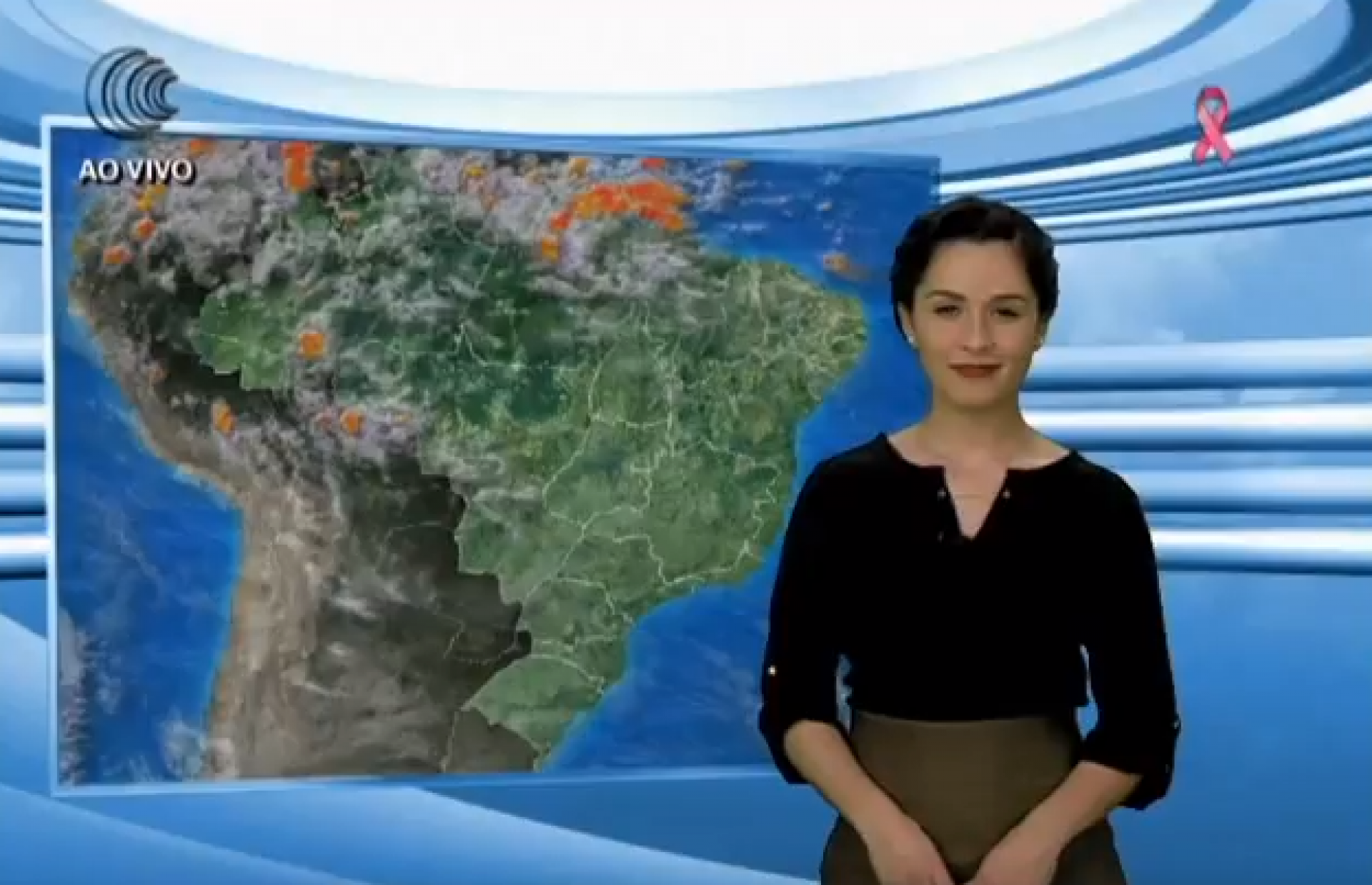 Pastos seguem com bom potencial produtivo na região sudeste