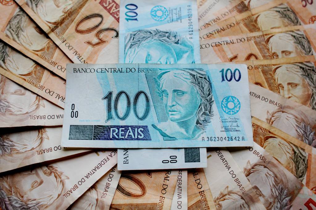 Custos de produção de suínos e de frangos de corte registram maior valor do ano