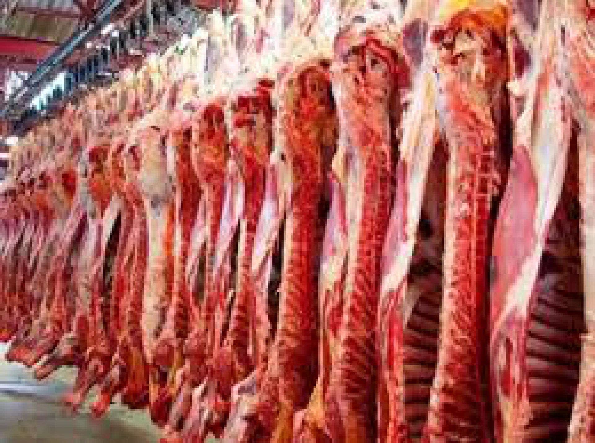 Mercado de carne bovina está em recuperação e pecuarista deve ser flexível