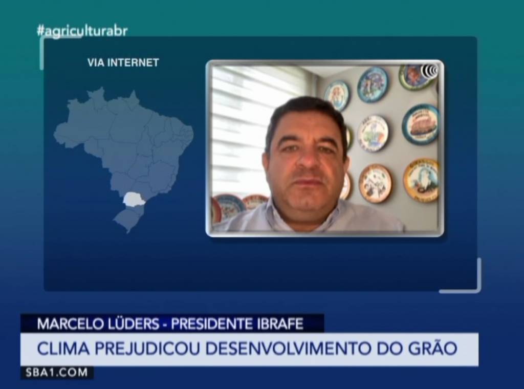 Entrevista: presidente do Instituto Brasileiro do Feijão e dos Pulses fala sobre aumento da demanda do grão