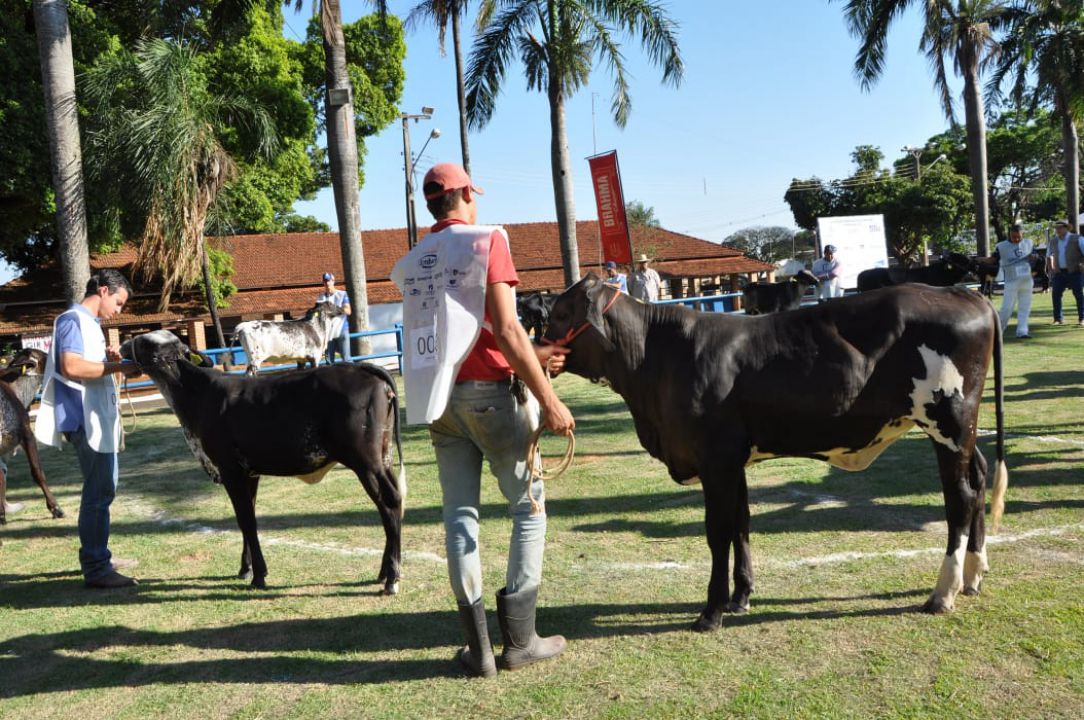 ExpoMS Rural começa na próxima quinta-feira