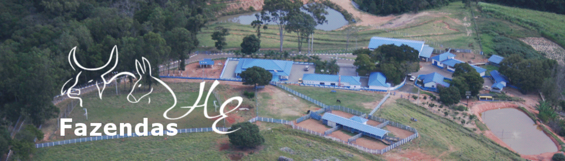 7° Leilão Virtual Fazendas He Muares quinta às 20h30 no Agro Canal