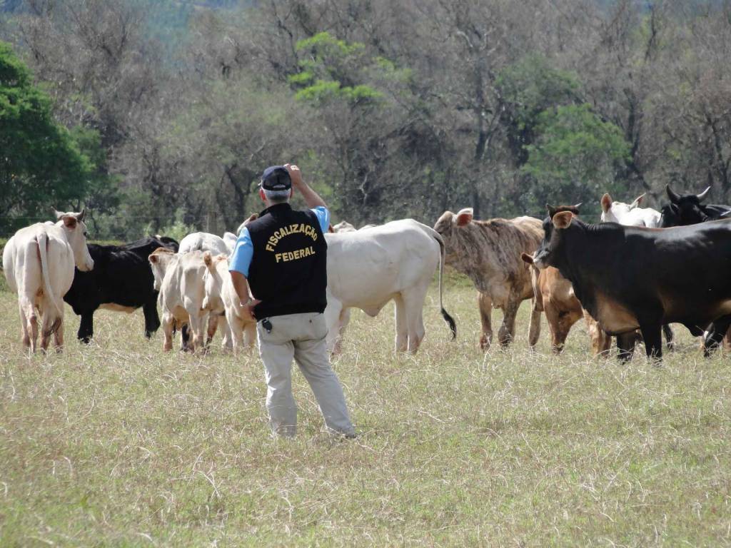 Ministério da Economia autoriza nomeação de mais 100 auditores fiscais agropecuários
