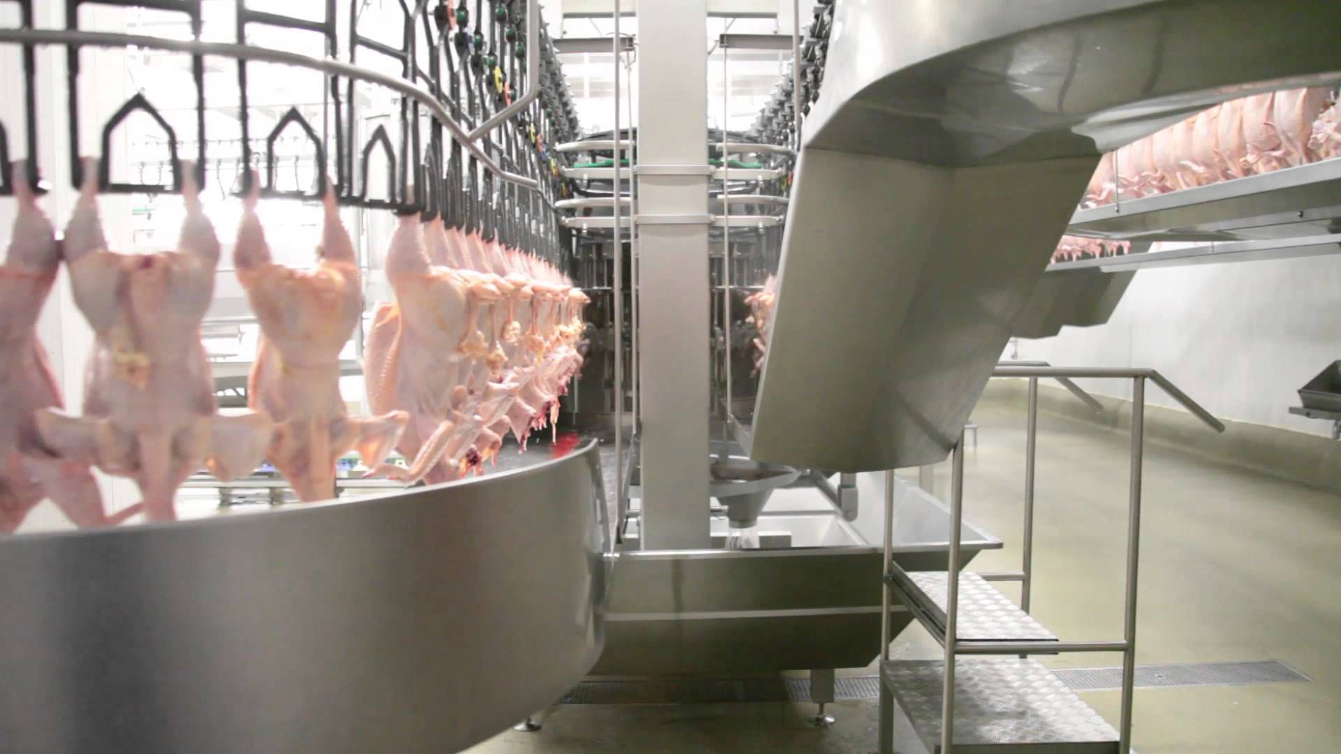 Cotação do frango registra queda de 2%