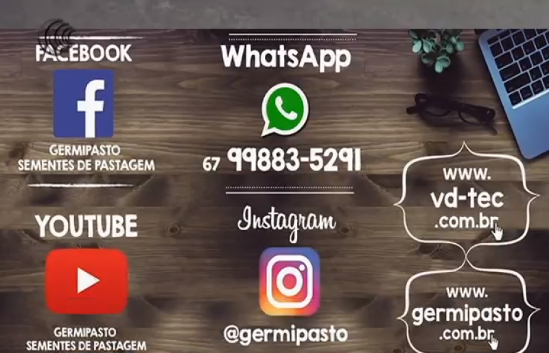 A importância do uso das mídias sociais para o produtor rural