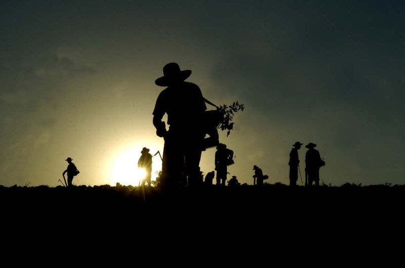 Publicada a relação de produtos da agricultura familiar com desconto em outubro