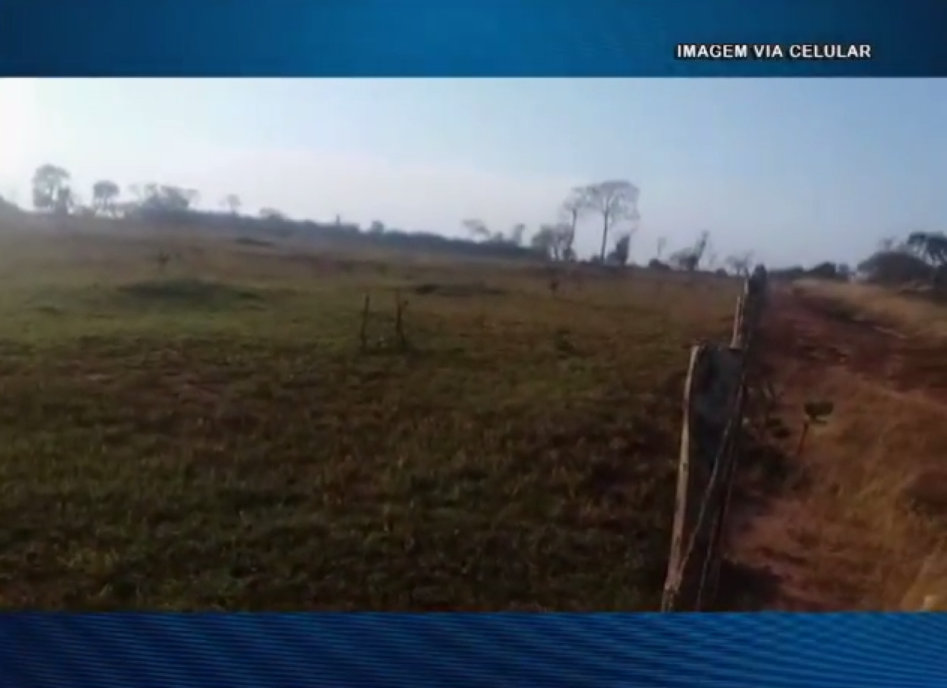 Situação das pastagens no interior de Mato Grosso do Sul