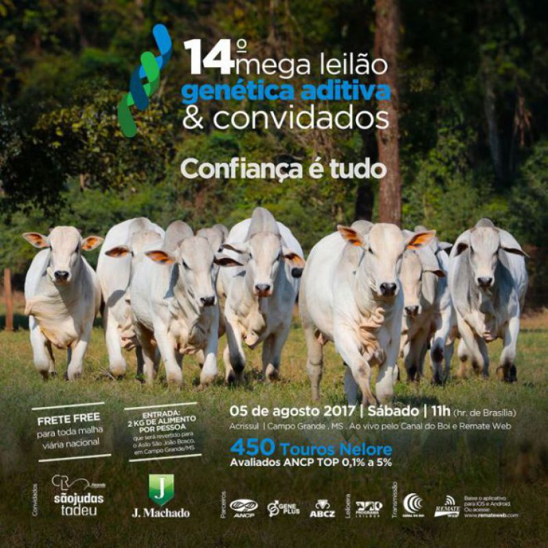 Acontece no sábado o 14° Mega Leilão Genética Aditiva e Convidados em MS
