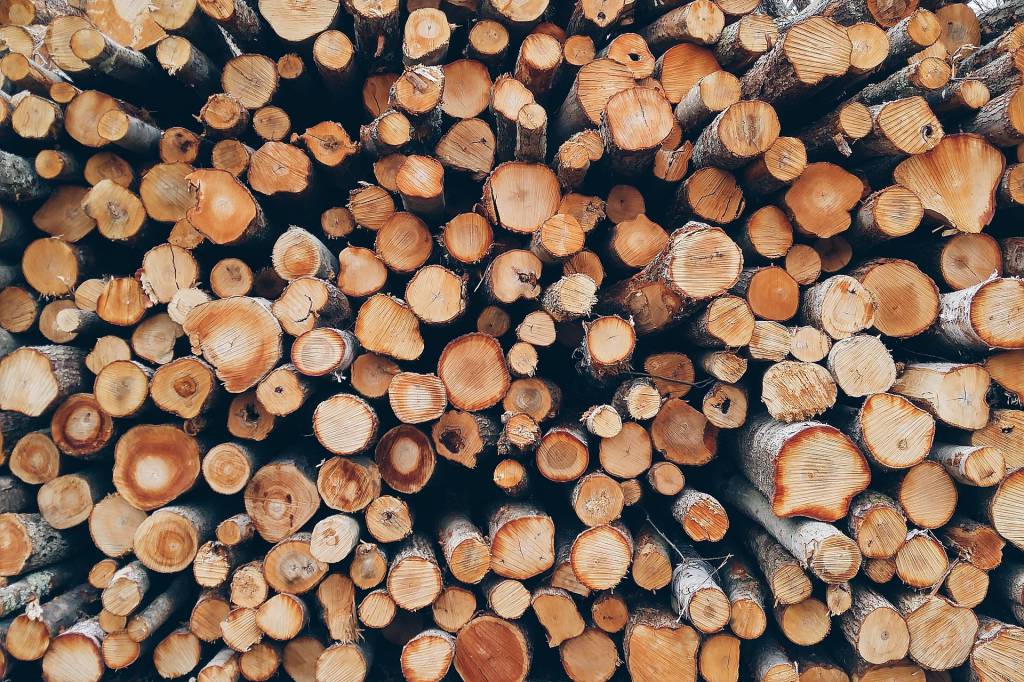 Tecnologia agiliza processamento de dados sobre inventário de florestas e volume de madeira