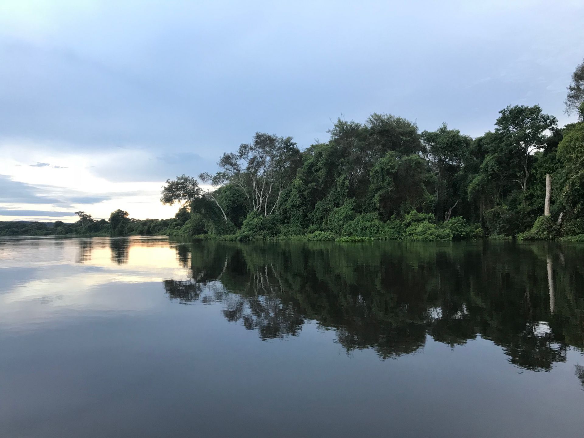 Audiências públicas em MS e MT discutem nova lei do Pantanal