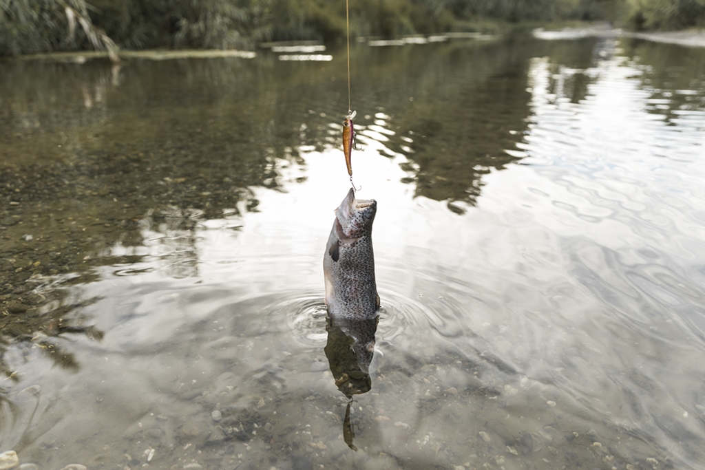 Licenças de pesca profissional foram canceladas em sete estados