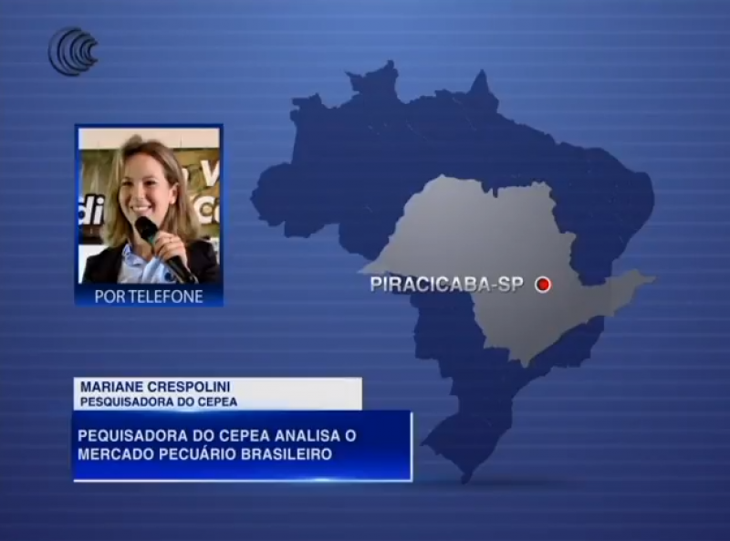 Pesquisadora do Cepea analisa o mercado pecuário brasileiro
