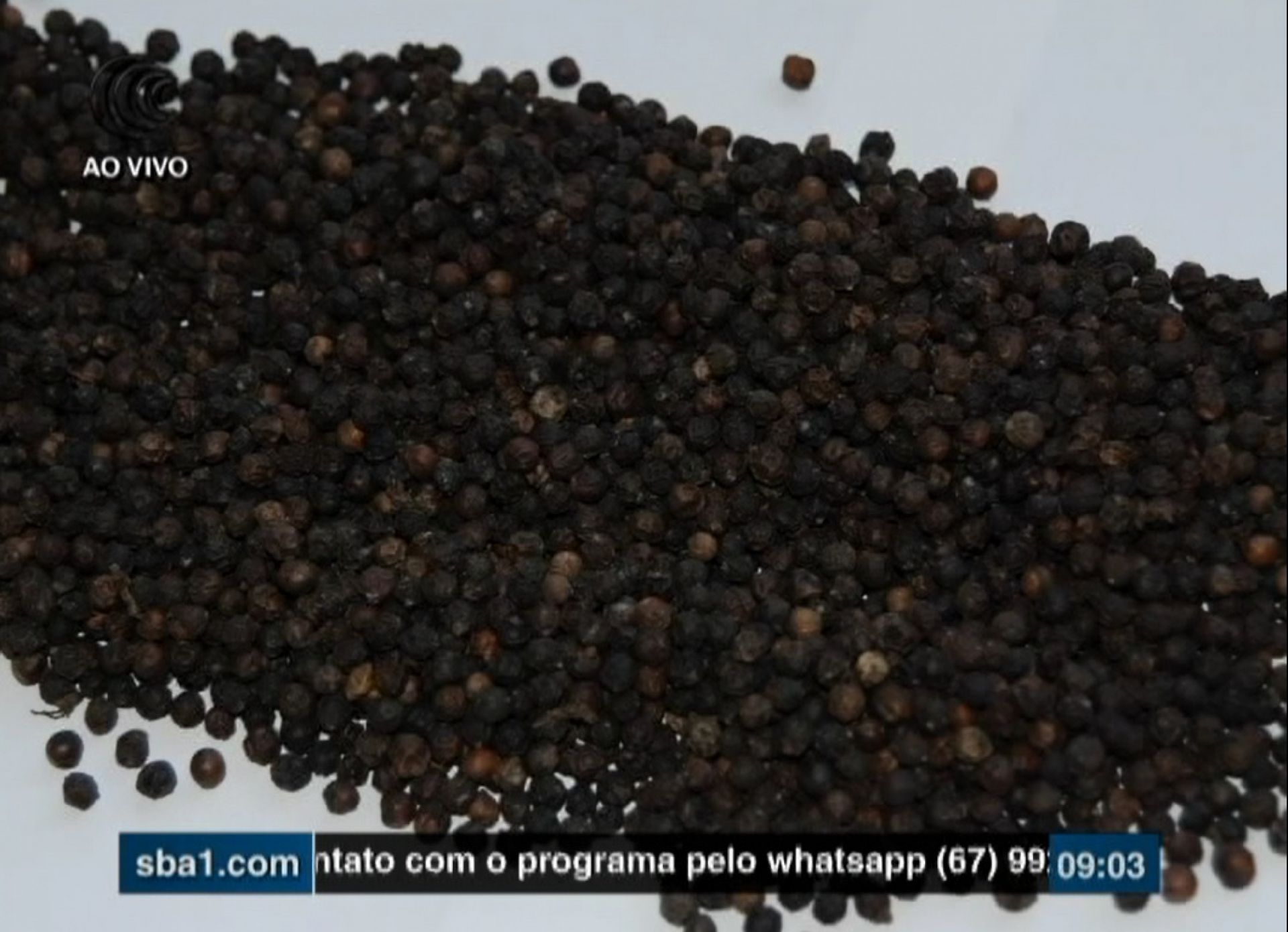 Preço da pimenta-do-reino no Brasil cai mais de 70% em dois anos