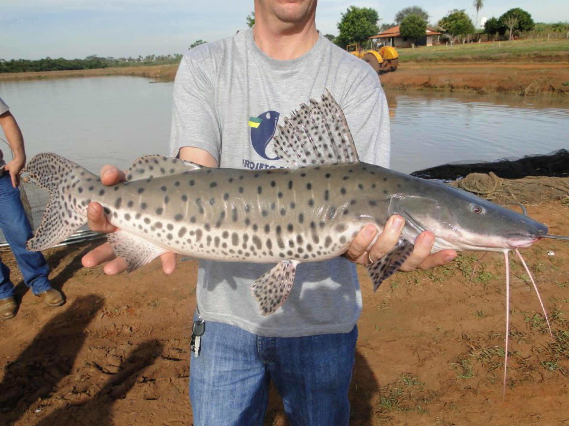 Projeto Pacu completa 30 anos como referência em biodiversidade em aquicultura