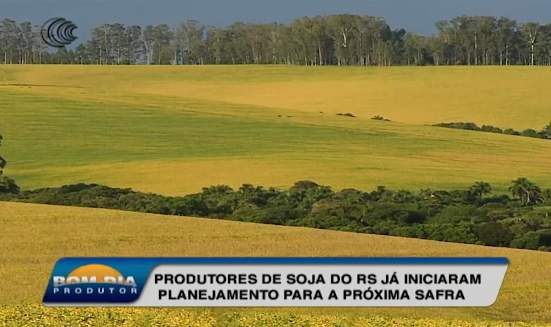 Produtores de soja do RS já iniciaram planejamento para a próxima safra