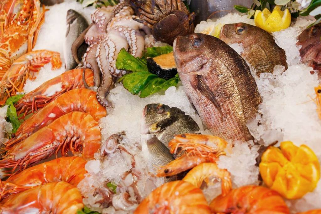 Marrocos abre mercado para pescados do Brasil