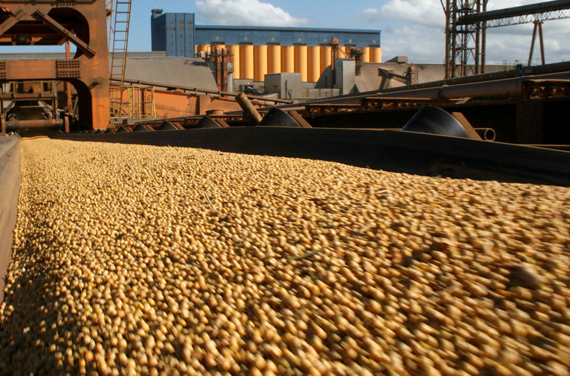 BCBA reduz de 54 para 51 mi/ton previsão da safra de soja Argentina 