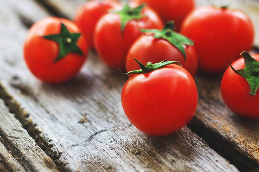 Cotações do tomate registram leve aumento
