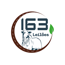 163 LEILÕES 