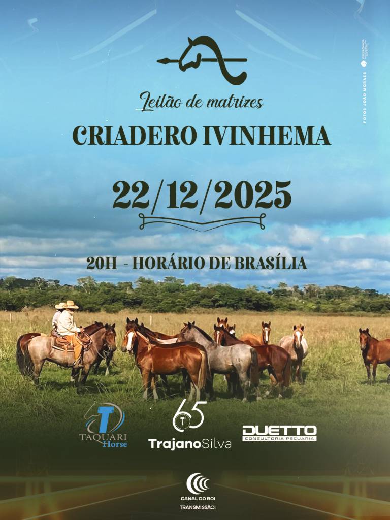Leilão de Matrizes Criadero Ivinhema hoje às 20h no Canal do Boi 