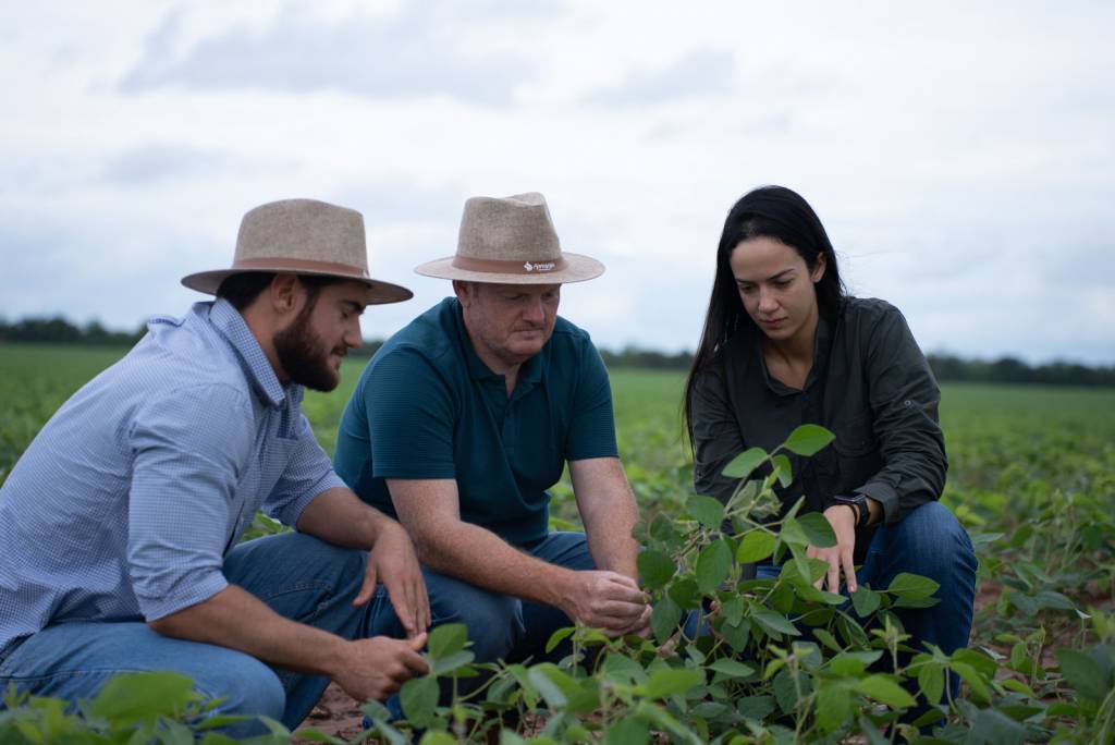 Início do plantio com chuvas irregulares desafiam produtores na região sul de Mato Grosso