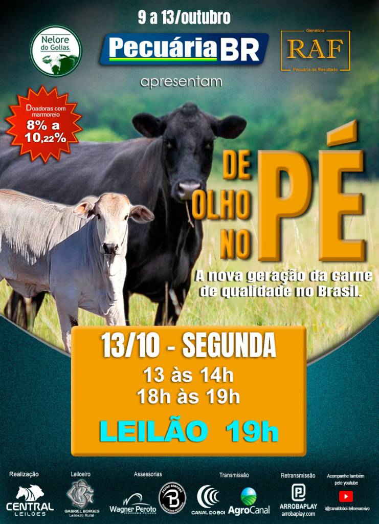 Leilão De Olho no Pé Pecuária BR oferta receptoras paridas com bezerros ao pé de alta qualidade genética