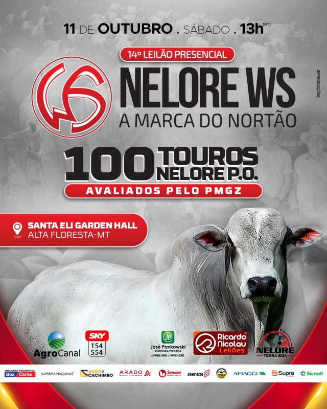 14º Leilão Presencial Nelore WS hoje no Agro Canal