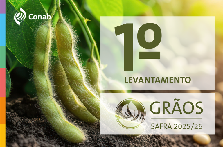 Primeiro levantamento da Conab aponta para uma colheita de 354,7 milhões de toneladas de grãos na safra 2025/26