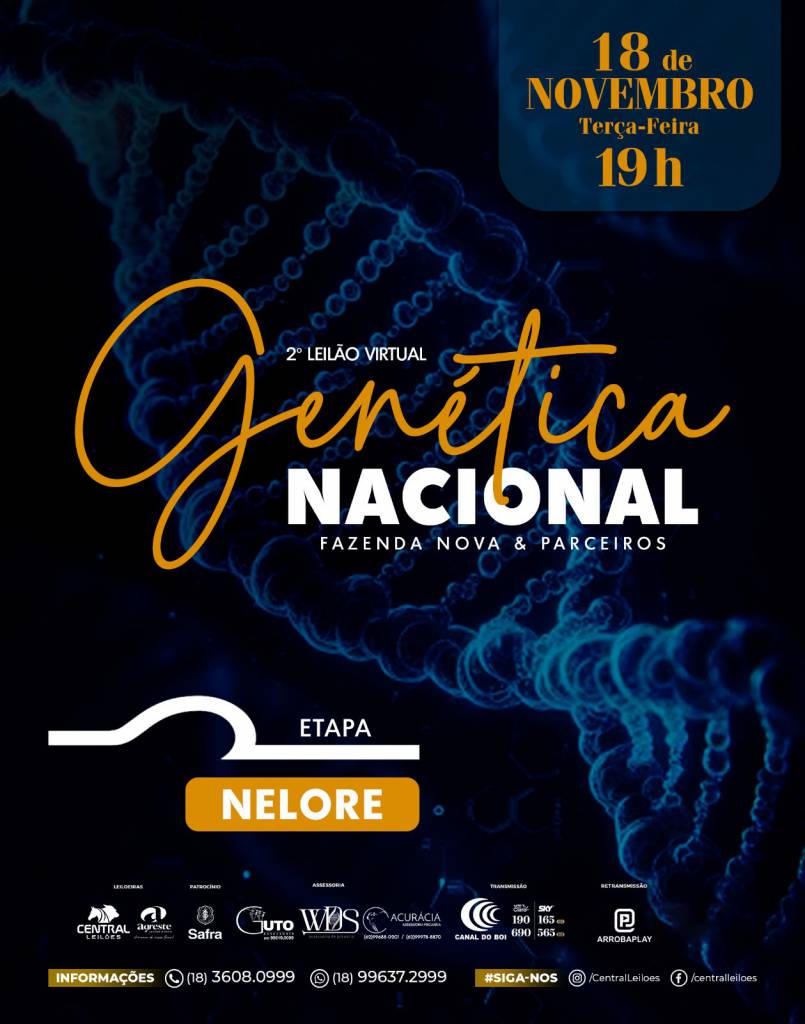 2º Leilão Virtual Genética Nacional - Fazenda Nova e Parceiros hoje no Canal do Boi 