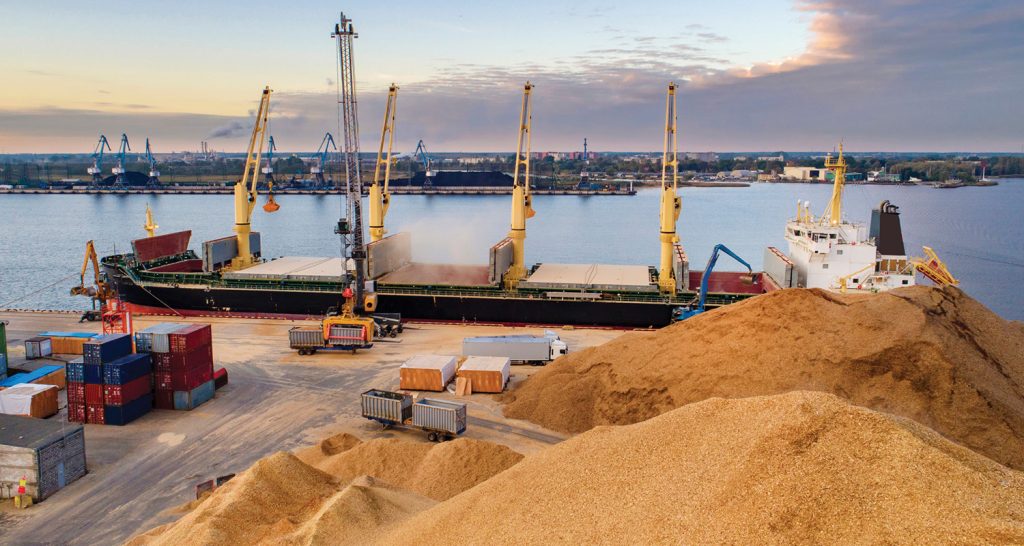 Açúcar de cana e carne bovina representaram quase 50% das exportações do agro paulista em outubro