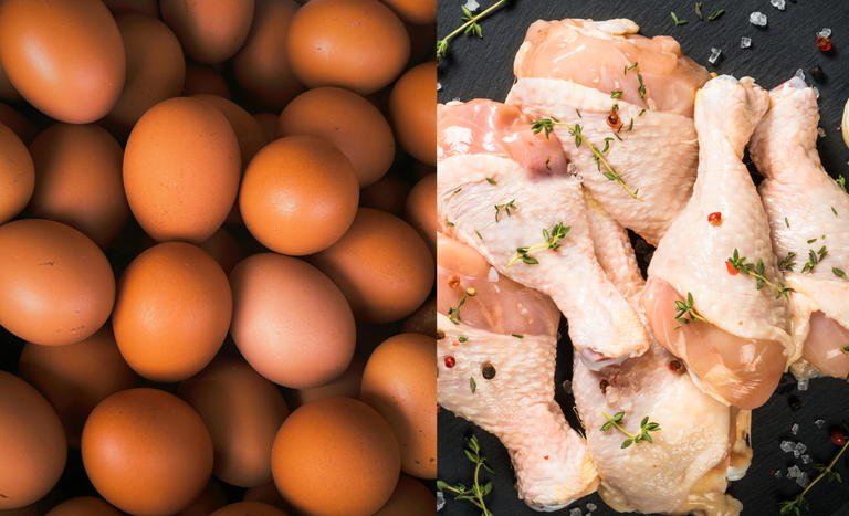 União Europeia confirma em carta oficial o retorno do pre-listing para estabelecimentos brasileiros de carne de aves e ovos