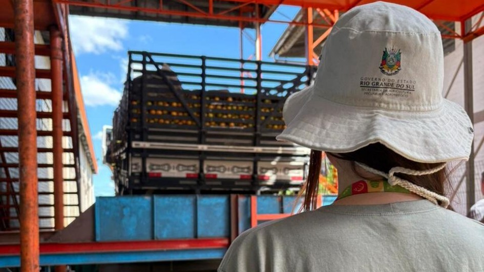 Governo do Estado realiza força-tarefa para evitar ingresso no RS da mais grave doença mundial a atacar plantas cítricas